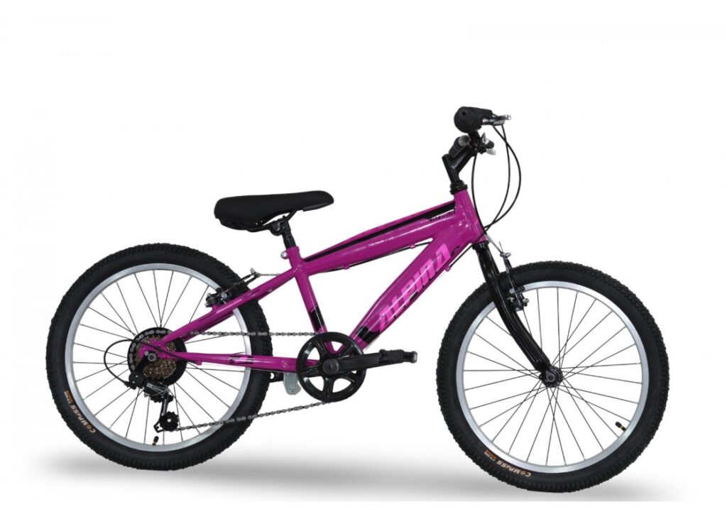 Alpina 20 MTB μωβ ροζ