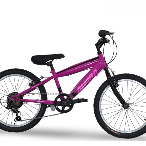 Alpina MTB 20''x11 7ταχ. S μωβ-ροζ