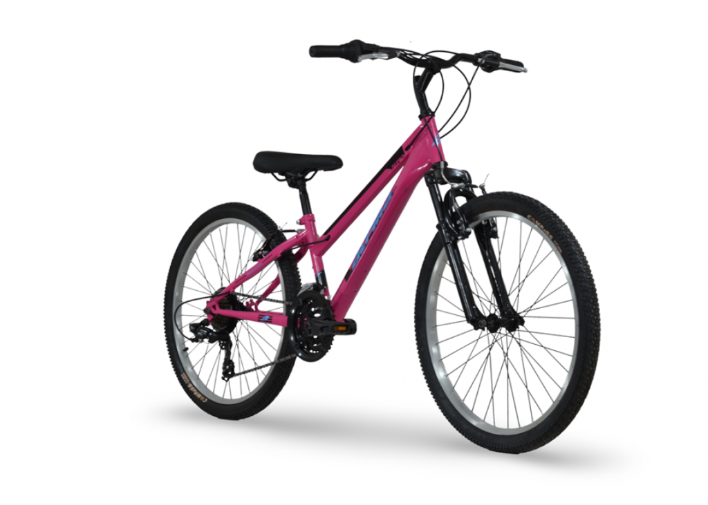 Alpina 24 mtb ροζ