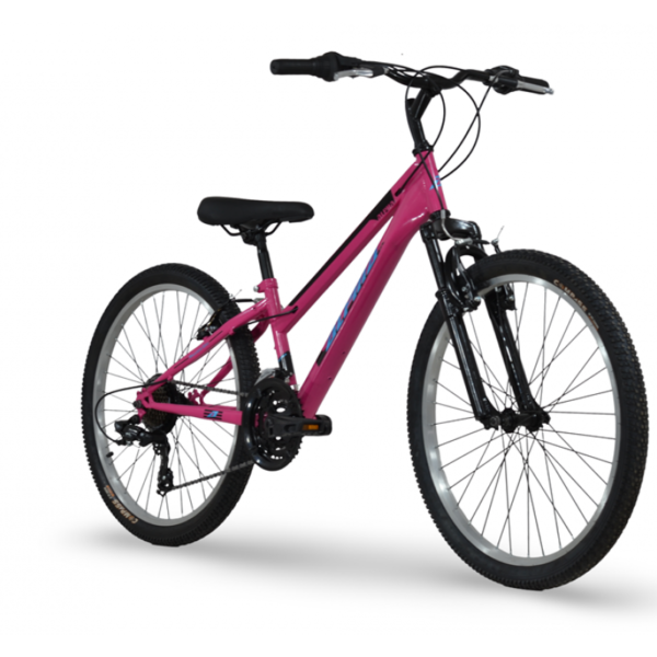 Alpina 24'' MTB ροζ-γαλάζιο