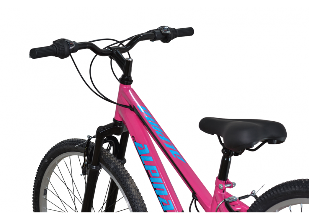 Alpina 24 mtb ροζ.png 1