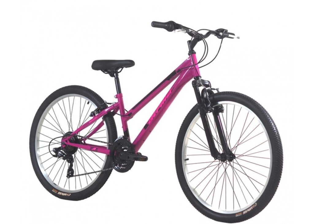 alpina 24 mtb μωβ.jpg 1