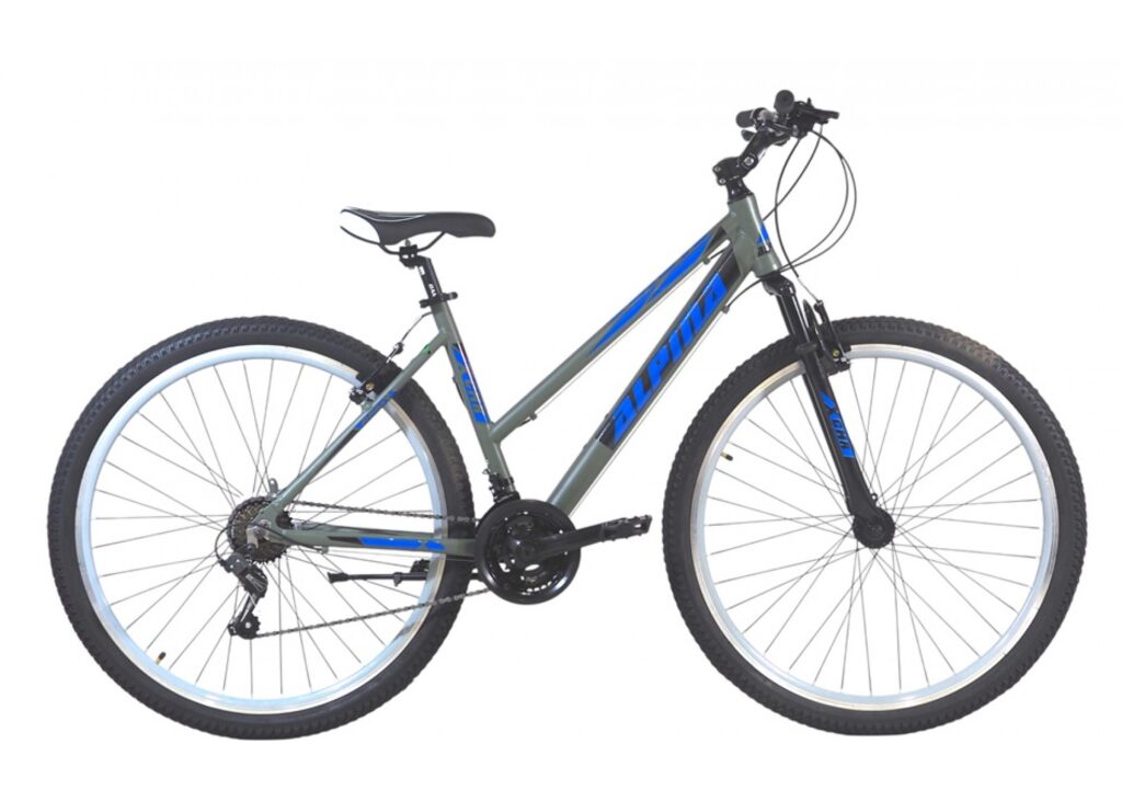 alpina mtb 29 girl gray blue