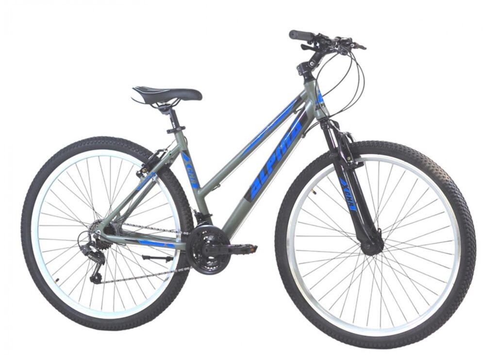 alpina mtb 29 girl gray blue slide 2